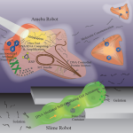 molecularrobot